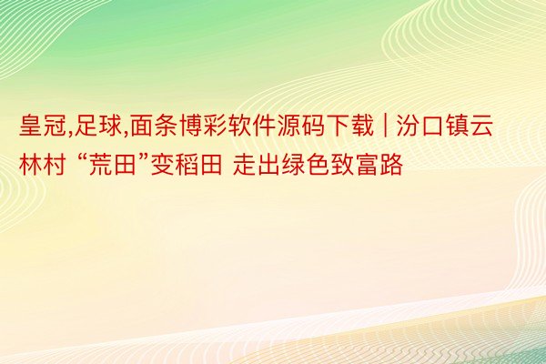 皇冠,足球,面条博彩软件源码下载 | 汾口镇云林村 “荒田”变稻田 走出绿色致富路